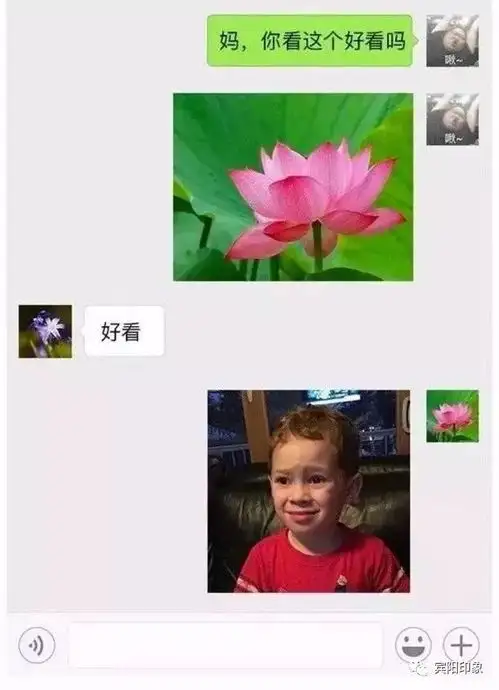 日常坑娃妈妈微信头像太丑了,我要和你脱离母女关系