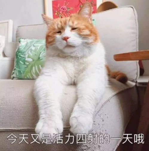 冷空气马上到石家庄气温将跌至个位数这周最低温度只有...