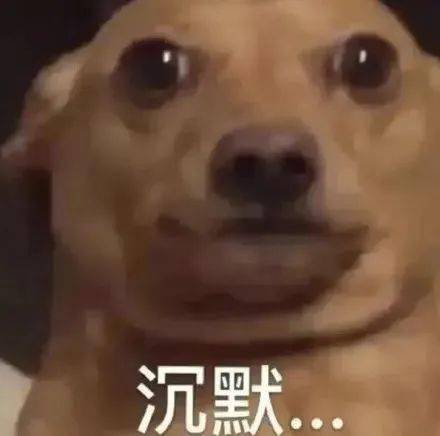 微信重大更新朋友圈可发20张图了昵称旁还有小老虎