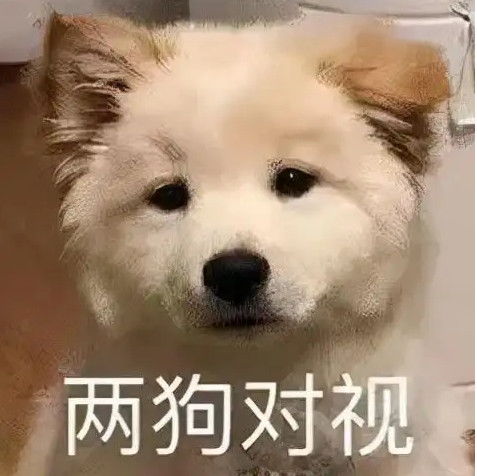 炎炎夏日暑期来袭,新融合宠冥狱魔犬上线啦