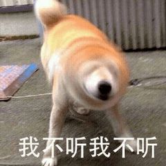 彩虹六号谈判失败准备攻坚