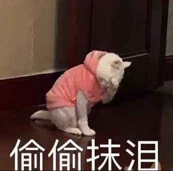 美柚资讯李小璐平嘻王是什么梗