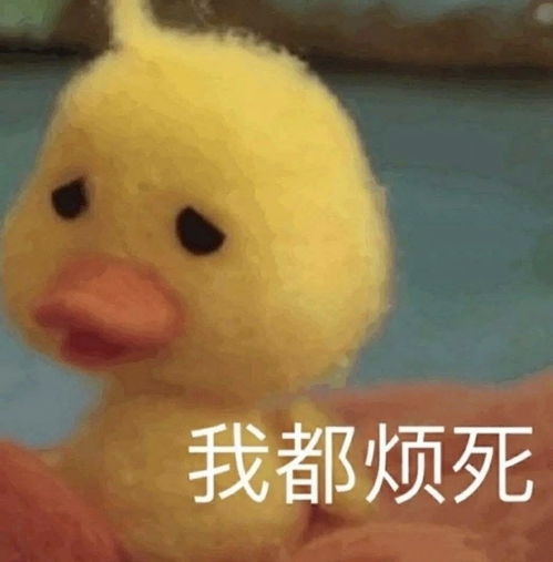 我喜欢你送花表情包脸大