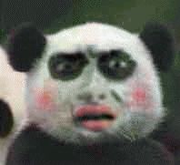 我们分手吧,是我太丑了跟你不搭你见过有哪些奇葩的分手理由