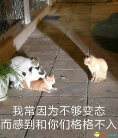 周一内涵雷人福利囧图合集美女倒立惊现夸张曲线