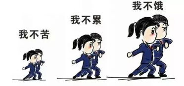 拿走收好不谢点进即可拾取一波调查队三连表情包