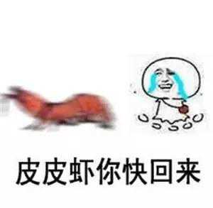 这几天爆红的皮皮虾,我们走到底是什么鬼