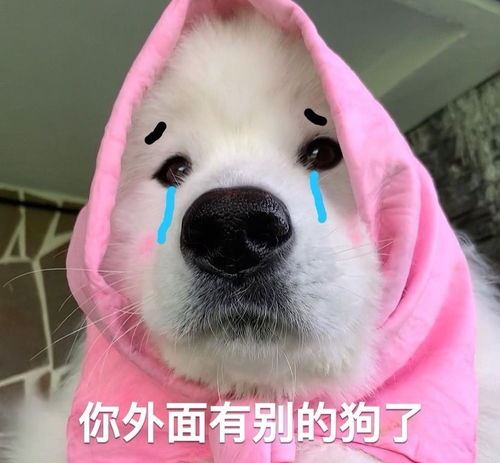 王思聪表情包丨想你的液