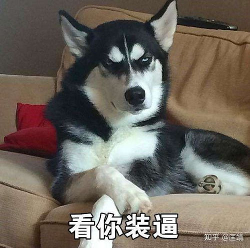 有哪些打死也想不到的国货跨界组合