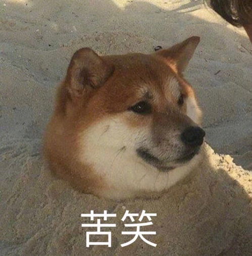 没有发酵成功的面粉糊能做什么吗