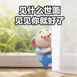 小猪土味情话表情包我偏无理取闹取闹,除非你来抱抱