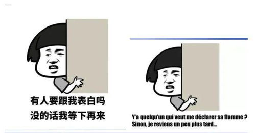 聊天尬住不如回复一个法语表情包