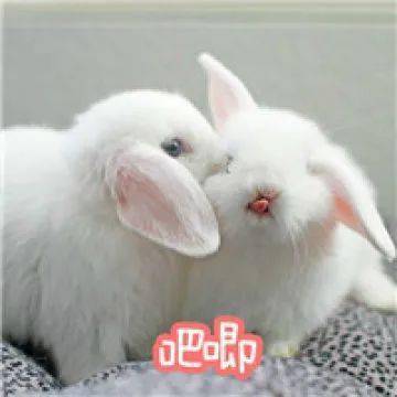 过去一年单身幸福感高于已婚