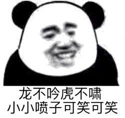 熊猫头表情包天热脾气爆我不微笑你别闹