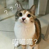 恶龙咆哮喵喵喵表情包微信头像图片大全