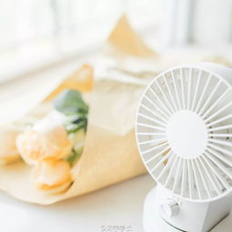 分享会陈宇学长教你如何拍出清新明亮的静物人像写真