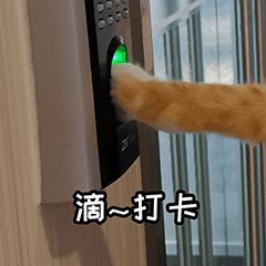 沙雕表情包l我尽量哭得很小声