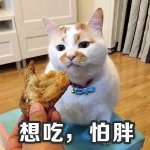表情包这不是胖,这是幸福肉