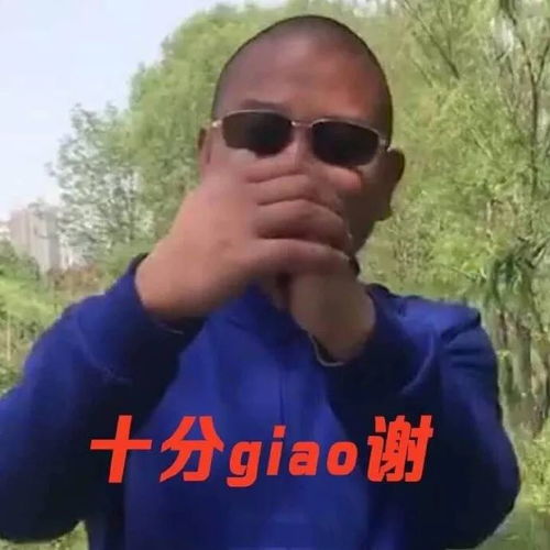 杰哥表情包让我康康波河