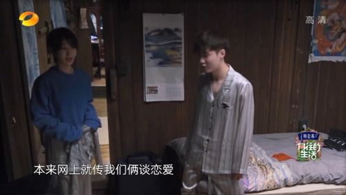 绯闻男女奔现张艺兴杨紫穿同款睡衣参加节目,被黄磊极力撮合
