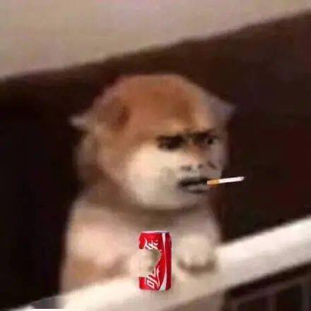 彩妆这么多年了,欧美和韩系的气垫之争到底花落谁家呀
