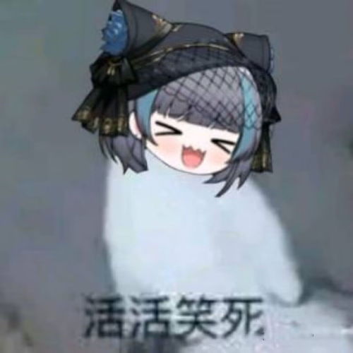 群友的奇怪表情包127