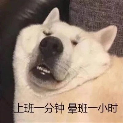 让你看到后没烦恼的好笑聊天表情很有氛围感的经典表情合集