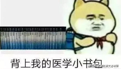 中国高校单身率排行榜看看你的学校上榜了吗