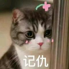 表情包萌出血都忍不住想用的表情,和我聊天就是在吃糖