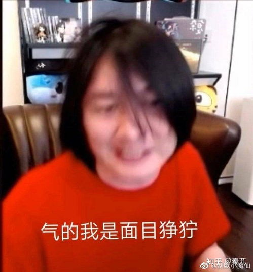王者荣耀主播好多都不露脸几个意思