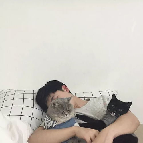 今日头像推荐,717