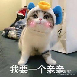 在小橘子心中,还有哪些纯靠台词和演技撑起来的好电影呢