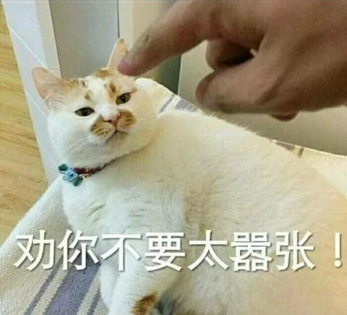 打匹配表情包减肥