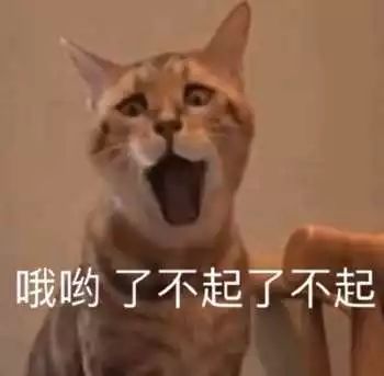 这些奇葩的住院理由,是想把主治医生活活笑死吧