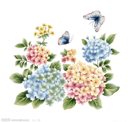 日本绣球花头像大全