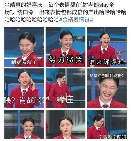 罗翔励志表情包这届
