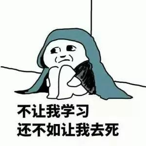 豹毙表情包方程