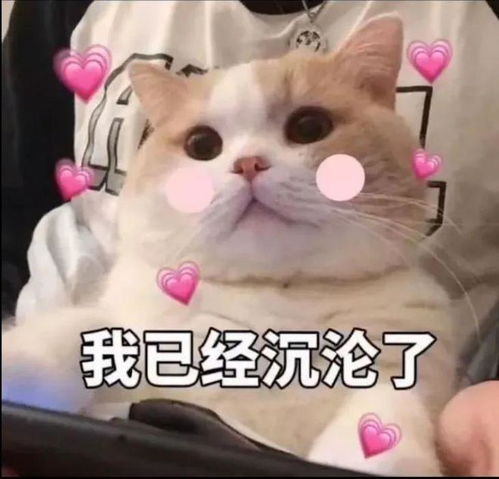 针织衫半裙风衣牛仔裤王炸,今年早春照着穿美到爆
