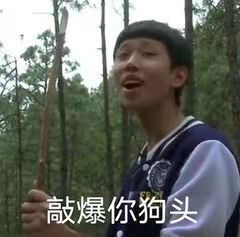 狗头护体表情包腾讯