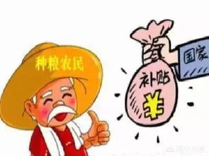 2019年土地直补取消了吗为什么