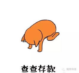 论如何在酷暑透心凉心飞扬