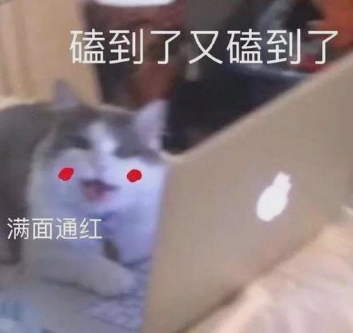 甜蜜大婚秒变社死现场钟汉良谭松韵这对cp有点东西