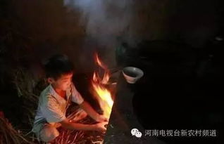 那些年在农村吃过的苦看哭了好多河南人