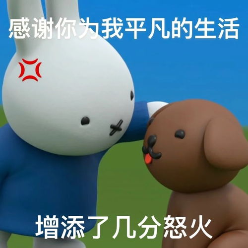 哔哩哔哩专栏