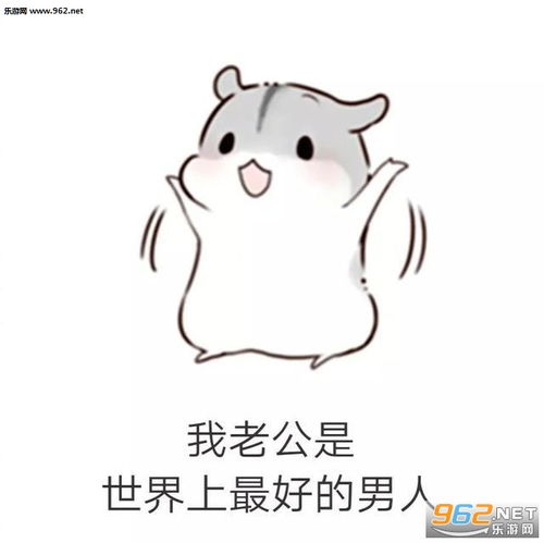 别生气表情包可爱可爱仓鼠