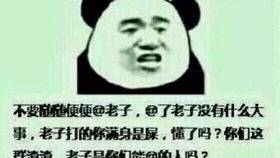 泡椒豆干1