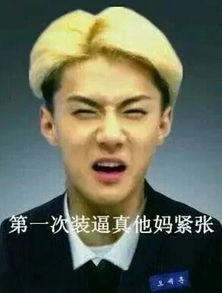 大人有大量表情包exo