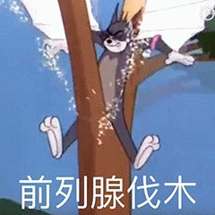 好玩的猫和老鼠表情包合集接下来是不是要骂我了我做错了什么