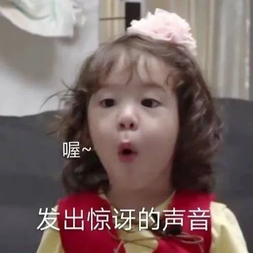 表情包做只废物挺好的