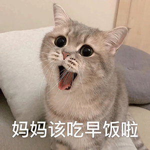 发了这么的表情包,为什么还不追我